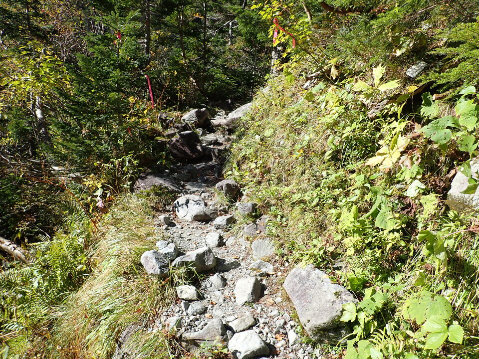 PA011258_mid.jpg