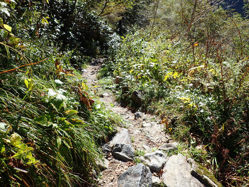 PA011263_mid.jpg