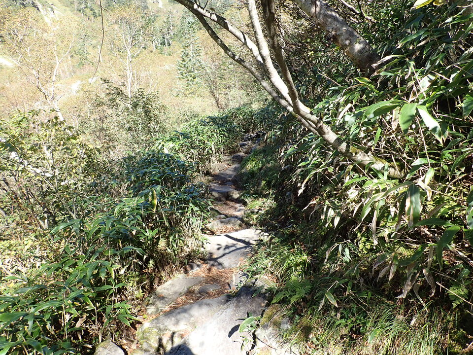 PA011268_mid.jpg