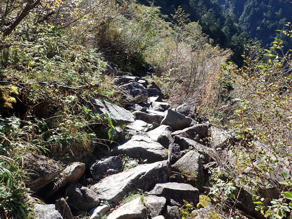 PA011269_mid.jpg