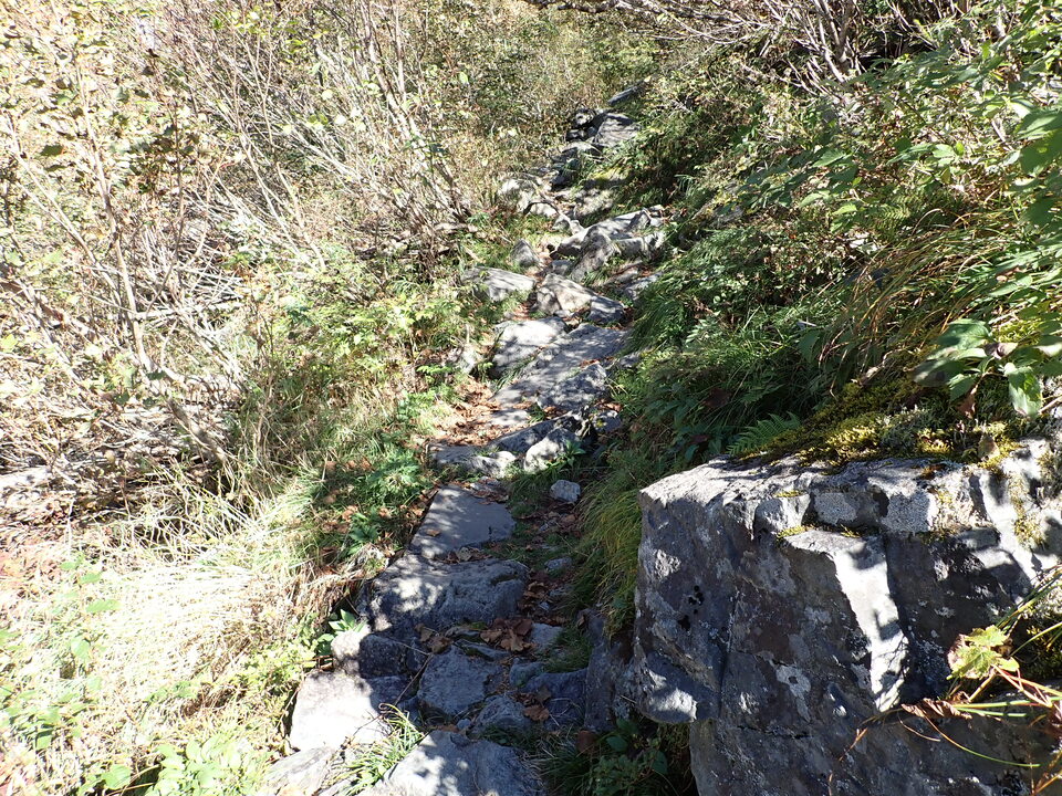 PA011270_mid.jpg