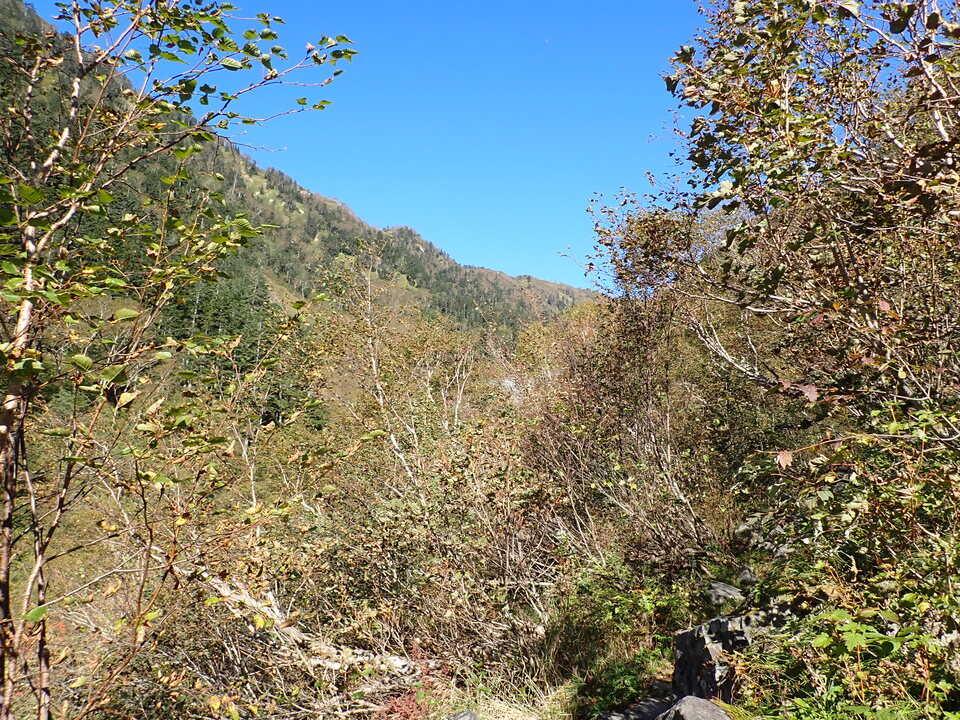 PA011272_mid.jpg