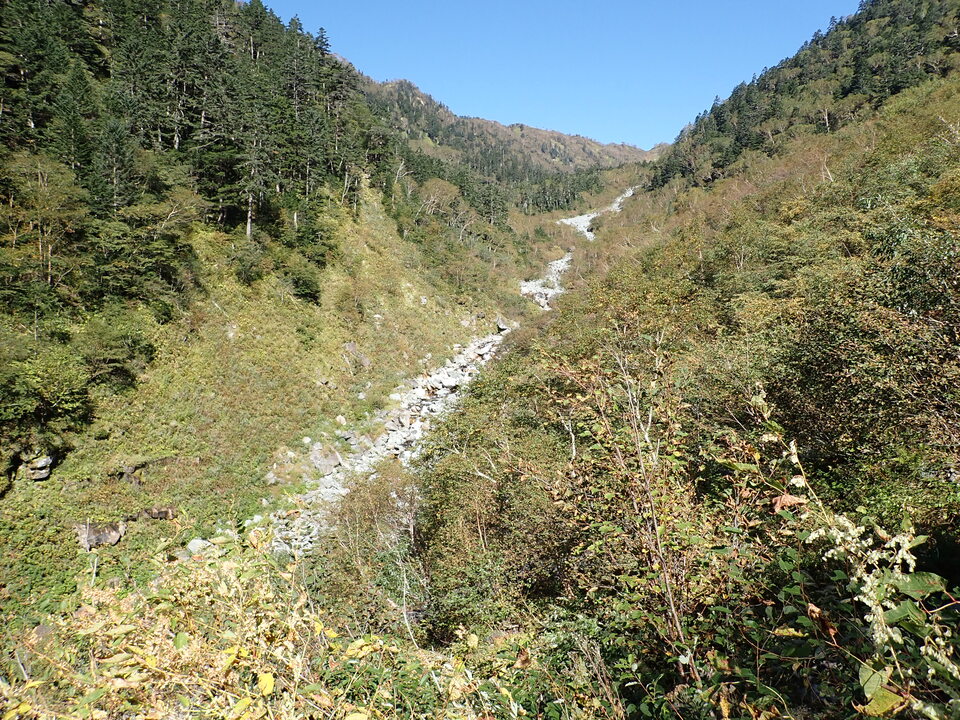 PA011277_mid.jpg