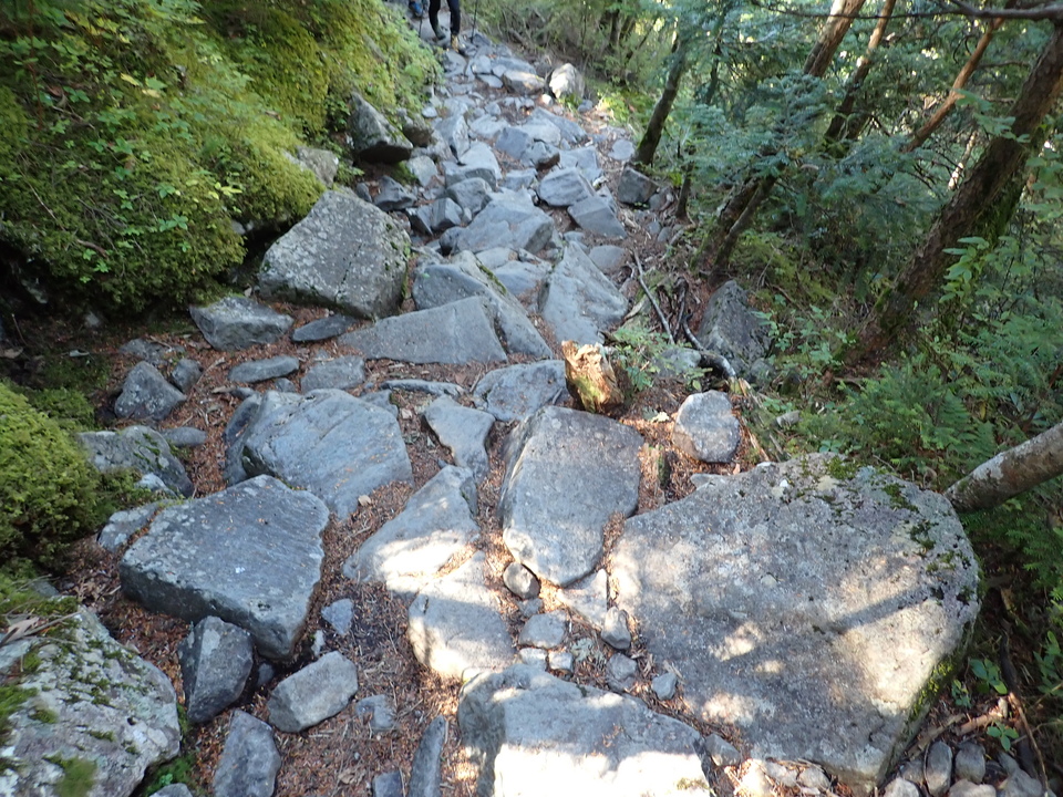 PA011279_mid.jpg