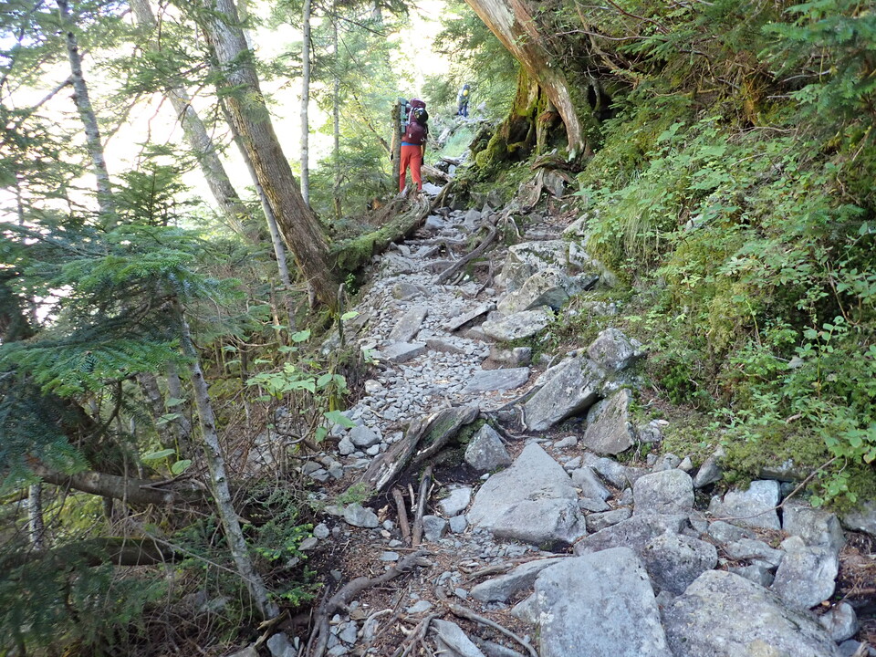 PA011280_mid.jpg