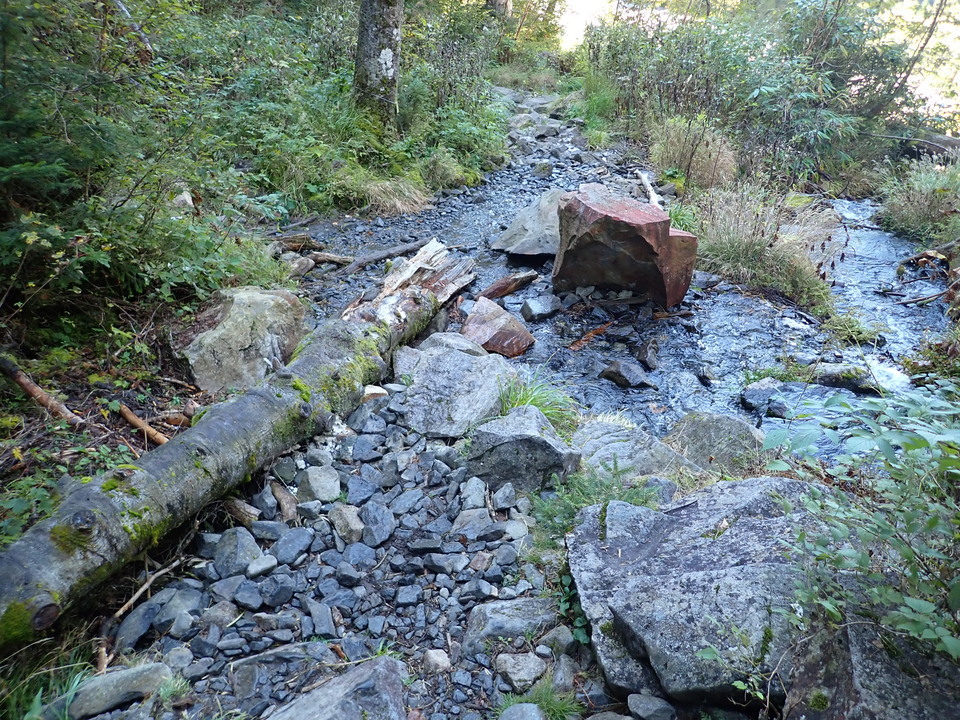 PA011281_mid.jpg