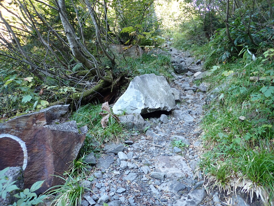 PA011283_mid.jpg