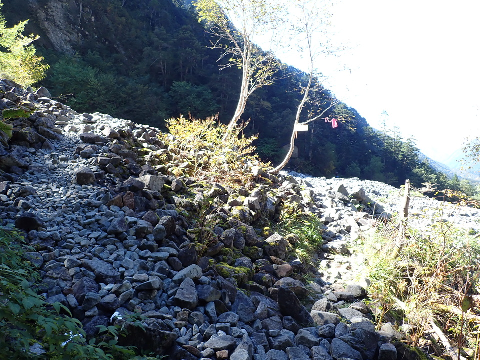 PA011284_mid.jpg