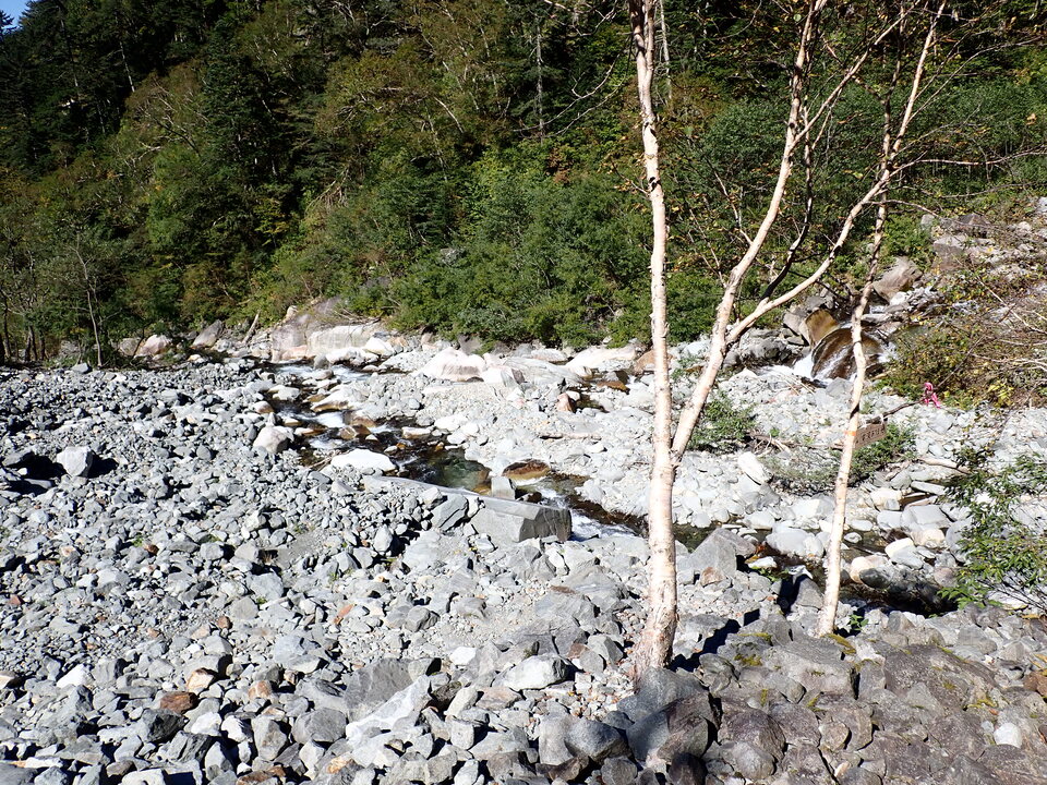 PA011290_mid.jpg