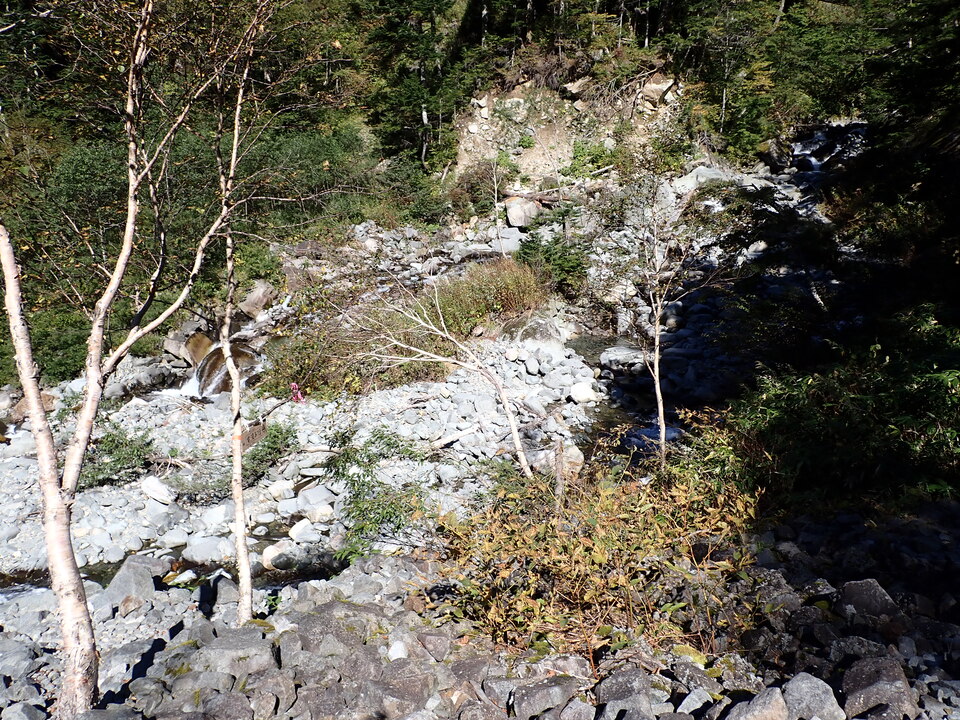 PA011291_mid.jpg