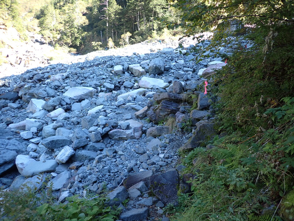 PA011303_mid.jpg