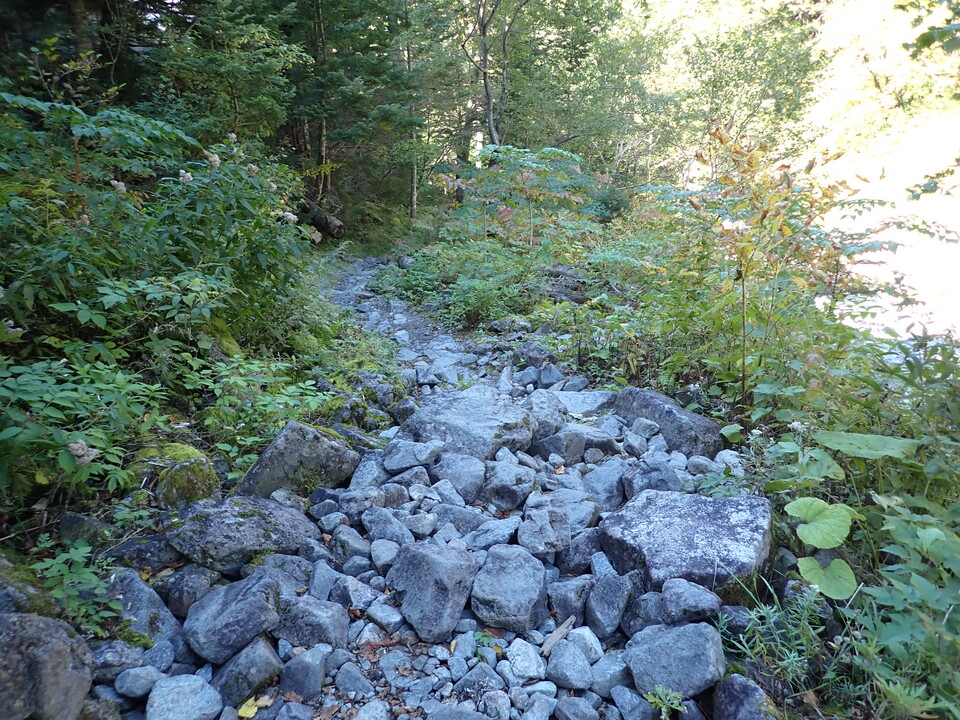 PA011304_mid.jpg