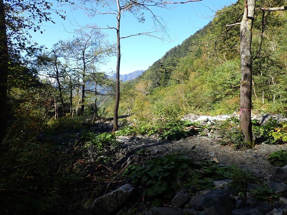 PA011309_mid.jpg