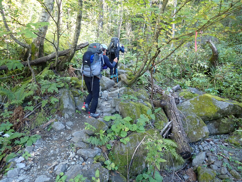 PA011310_mid.jpg