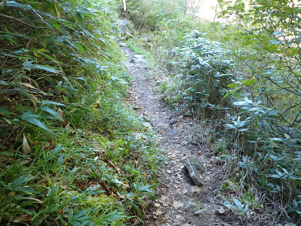 PA011311_mid.jpg