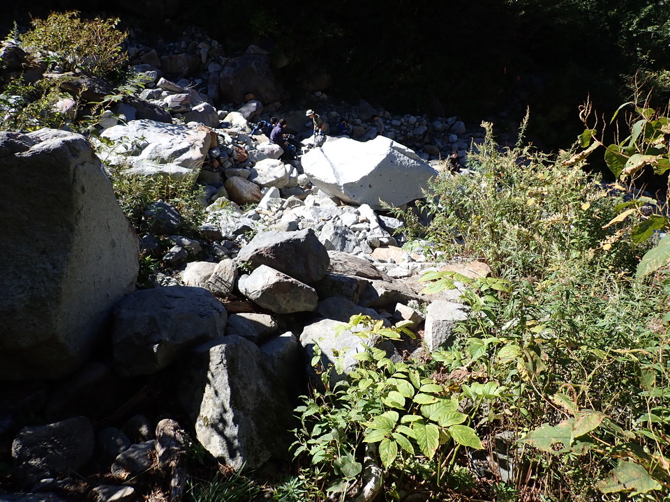 PA011317_mid.jpg