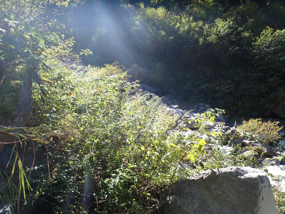 PA011318_mid.jpg