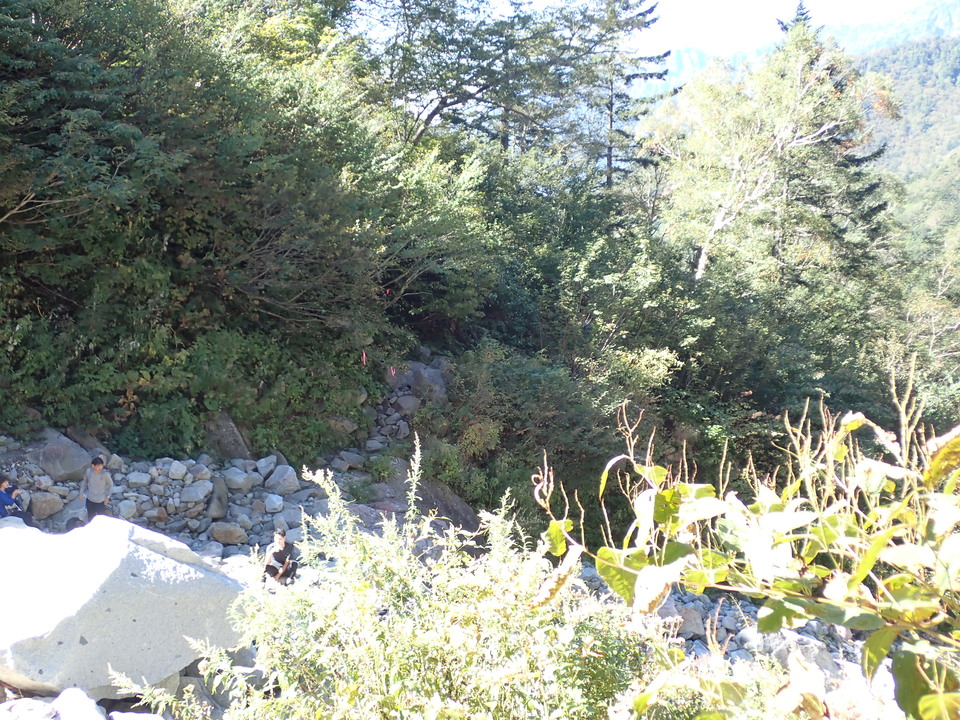 PA011319_mid.jpg