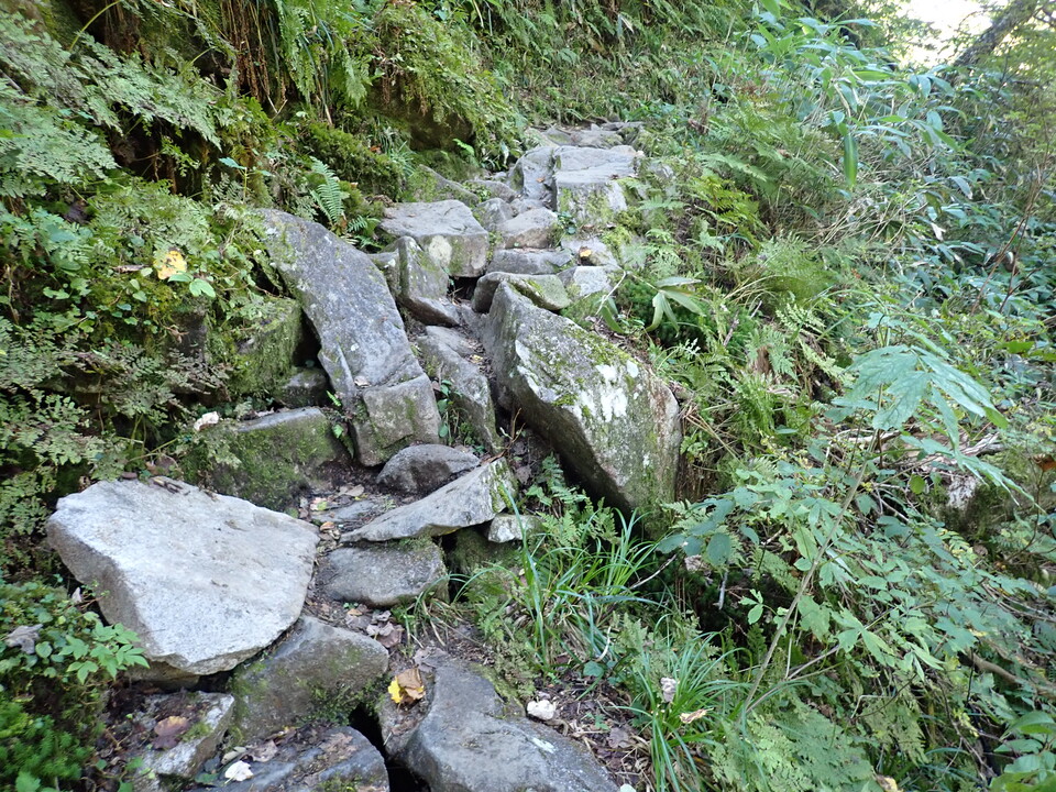 PA011326_mid.jpg