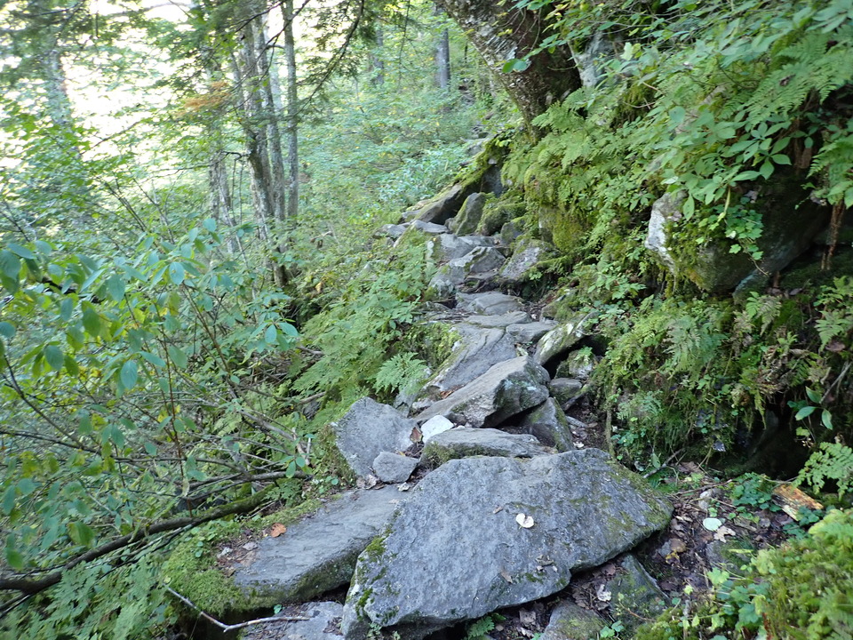 PA011327_mid.jpg
