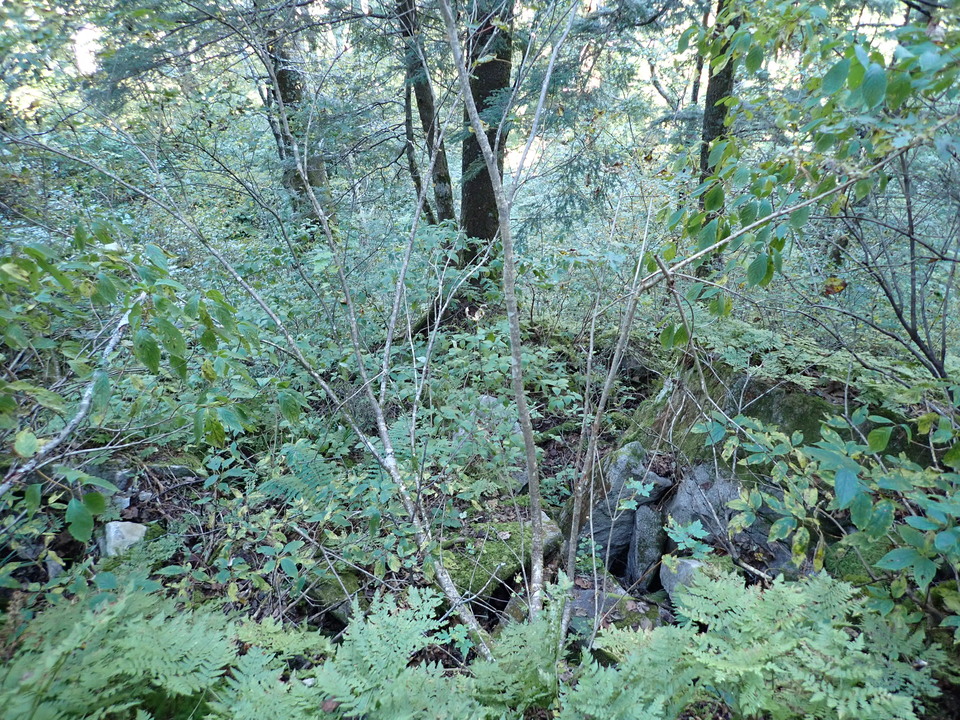 PA011328_mid.jpg