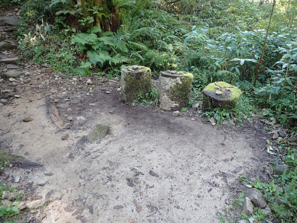 PA011331_mid.jpg