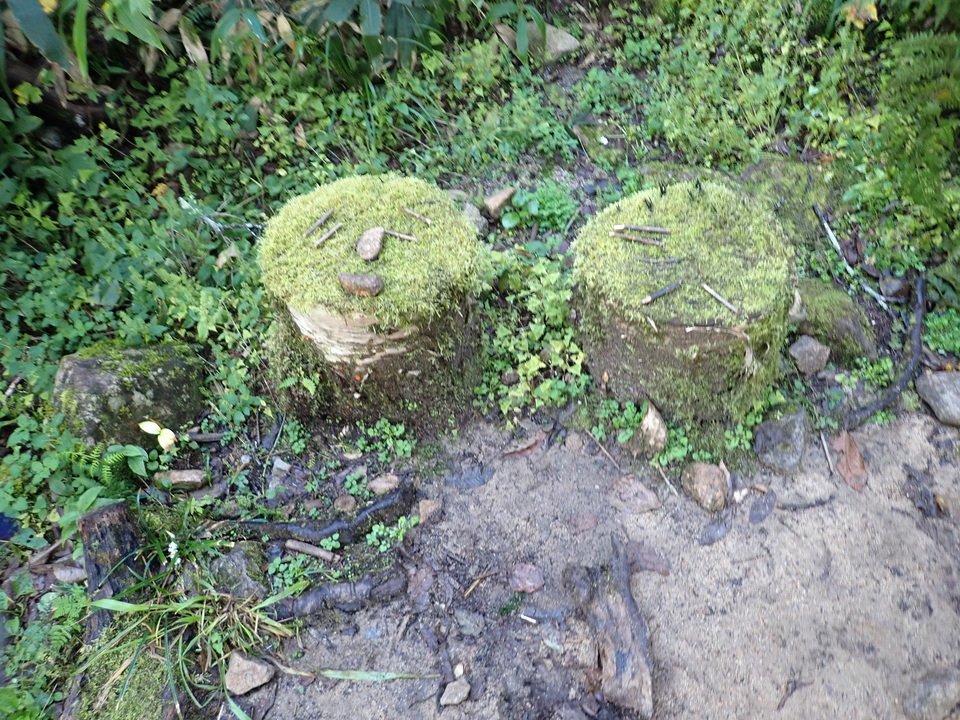 PA011336_mid.jpg