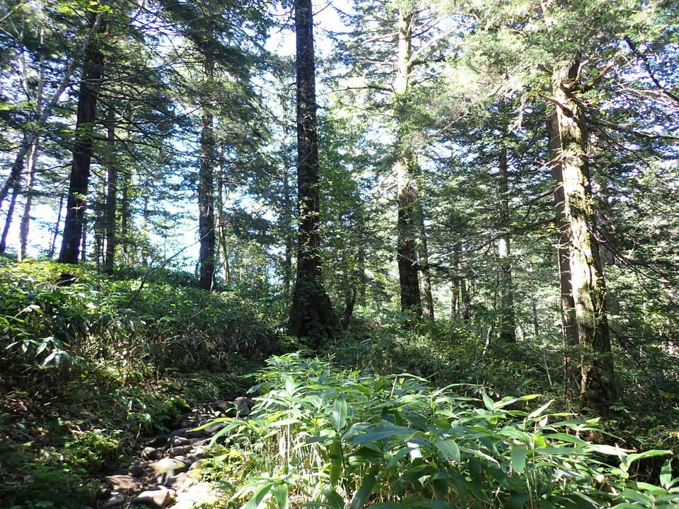 PA011338_mid.jpg