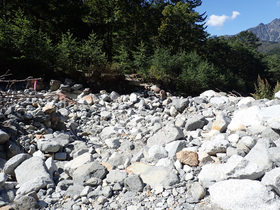 PA011345_mid.jpg