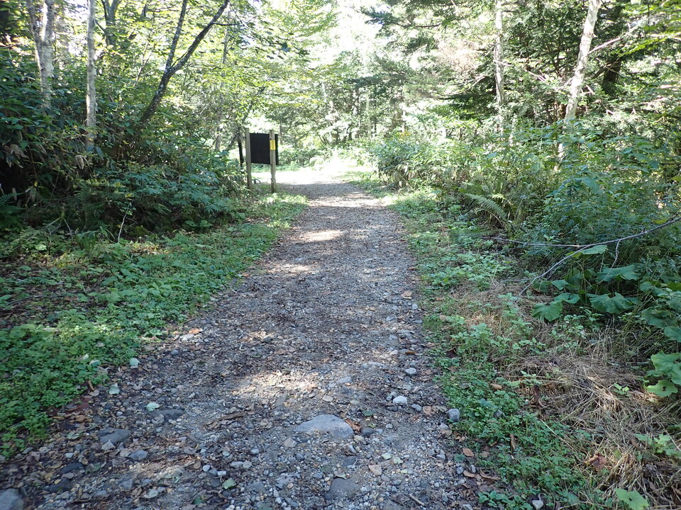 PA011352_mid.jpg