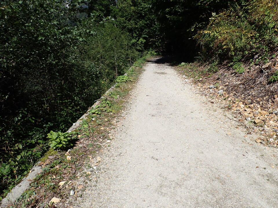 PA011356_mid.jpg