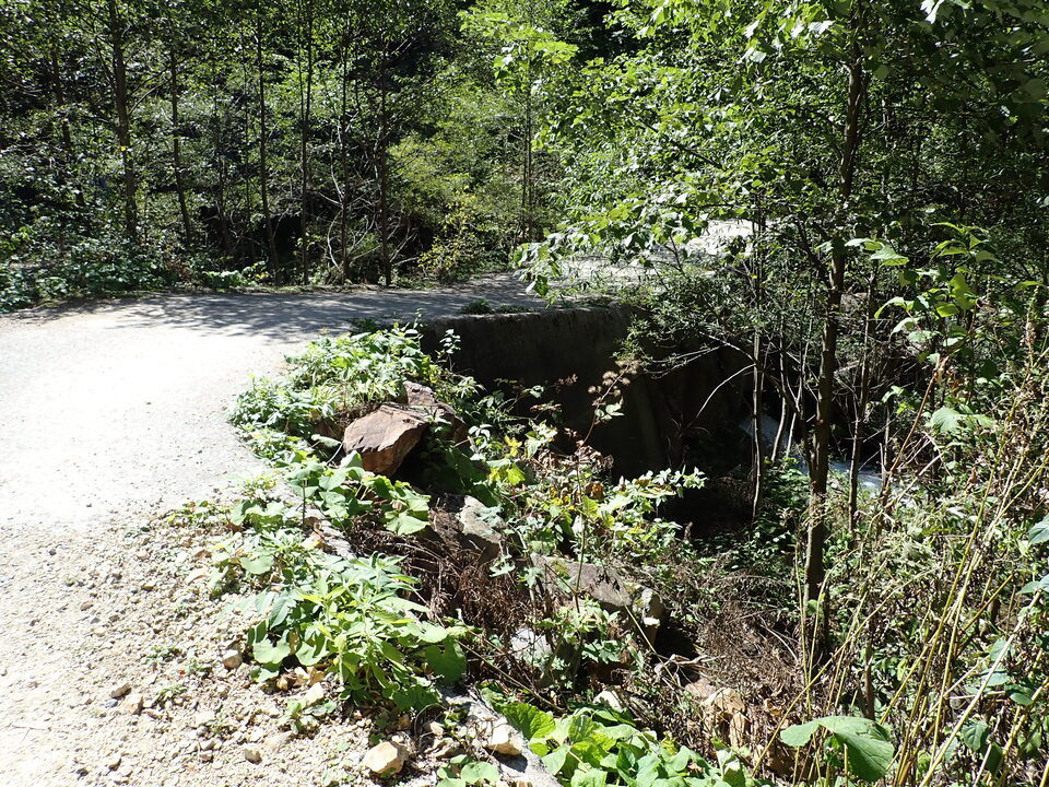 PA011357_mid.jpg