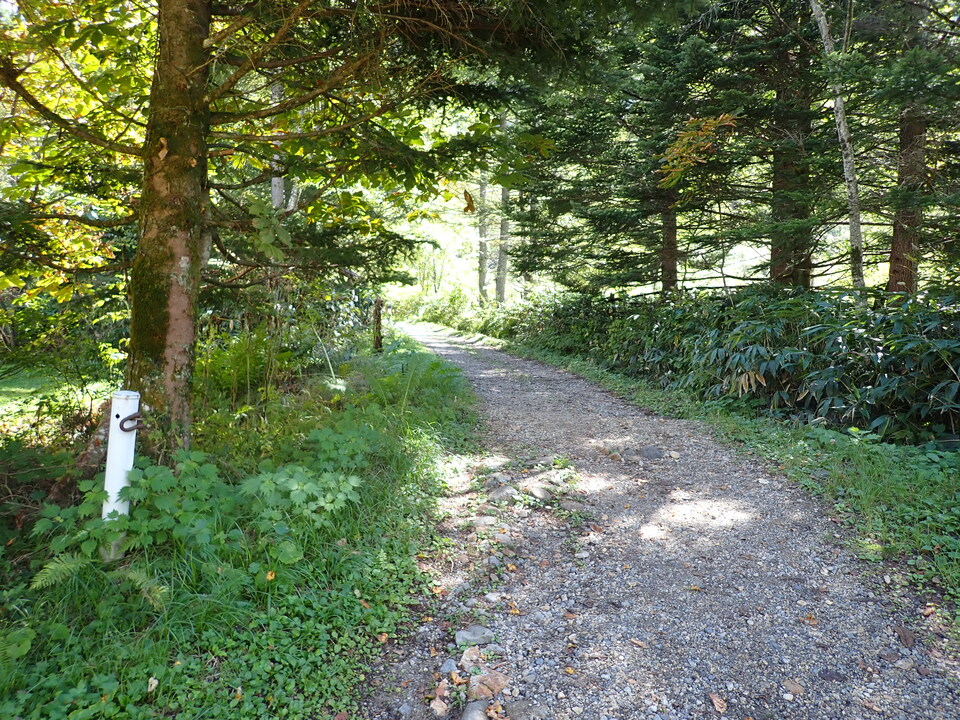 PA011360_mid.jpg