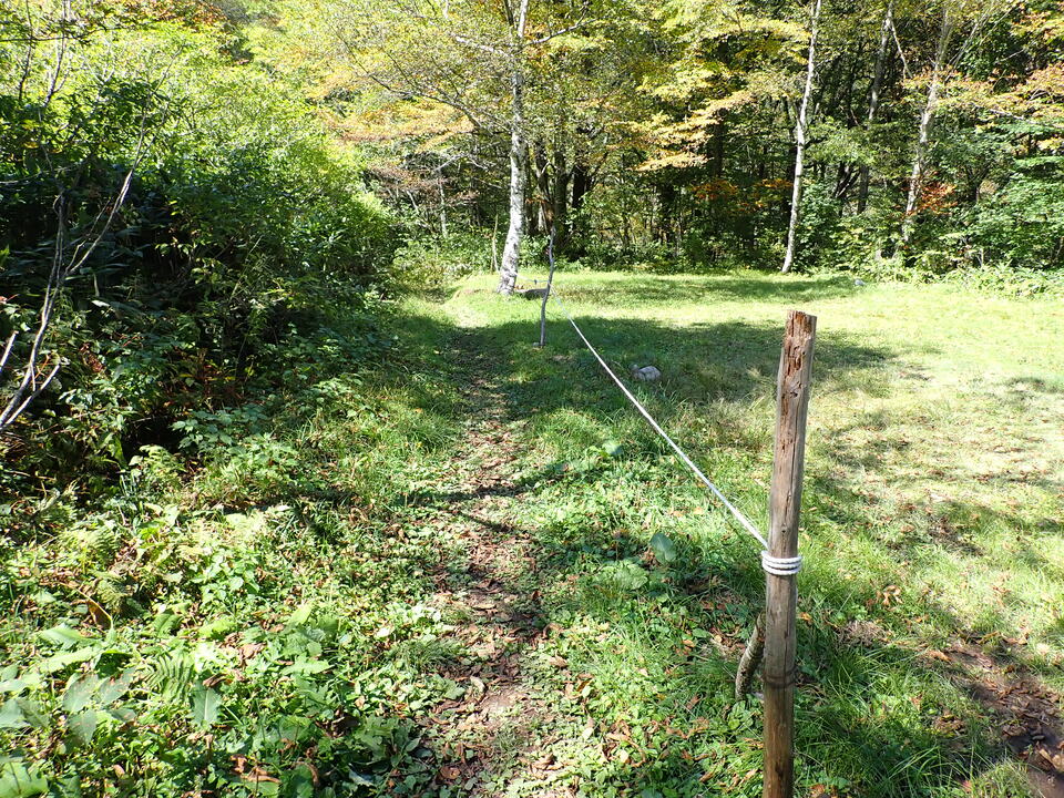 PA011361_mid.jpg