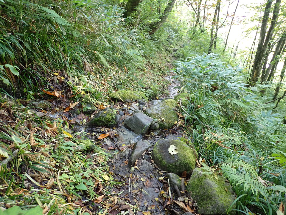 PA011364_mid.jpg