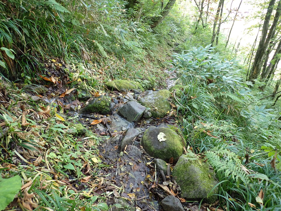 PA011366_mid.jpg