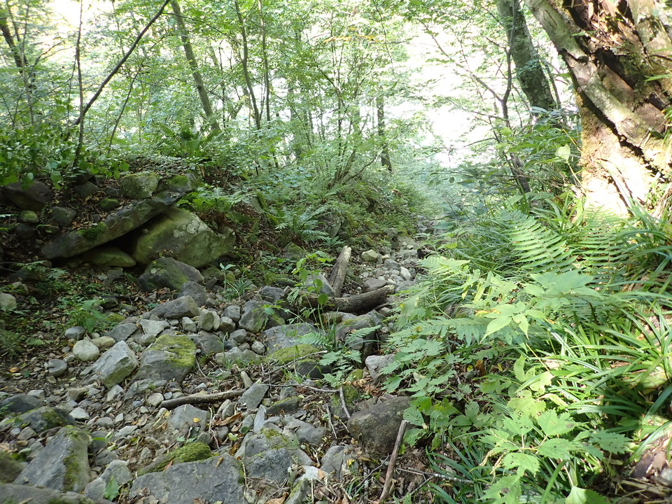 PA011368_mid.jpg