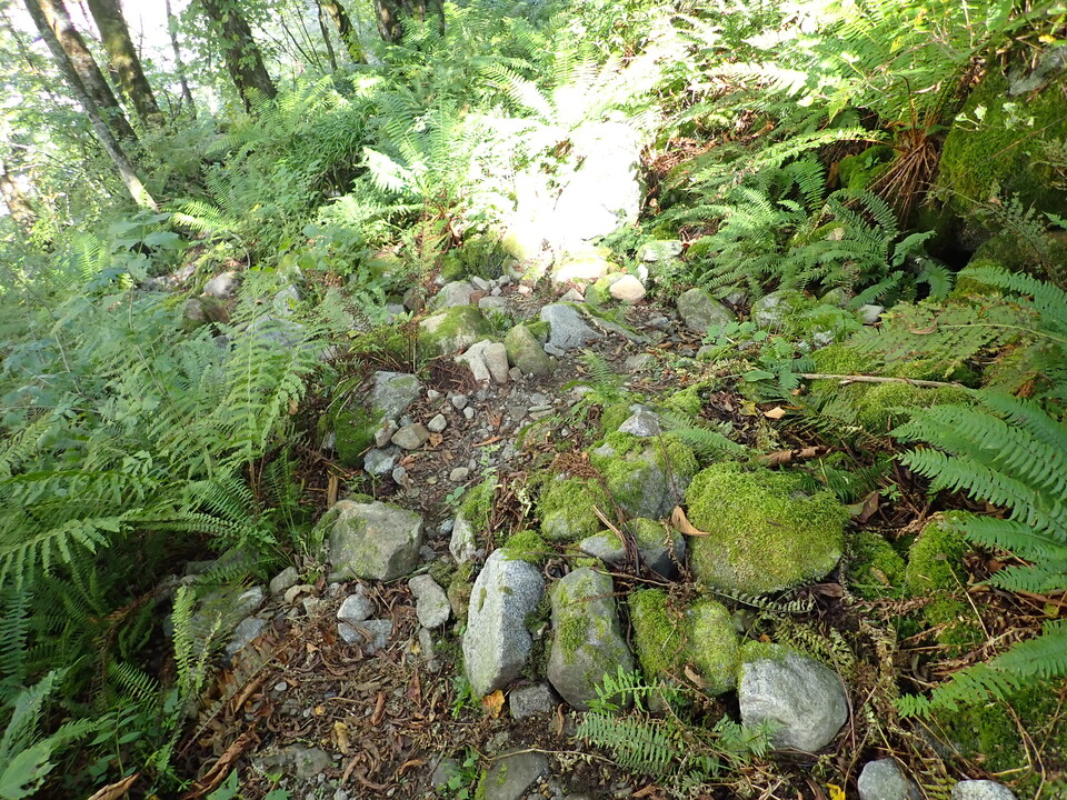 PA011372_mid.jpg