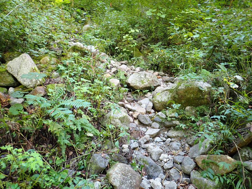 PA011375_mid.jpg