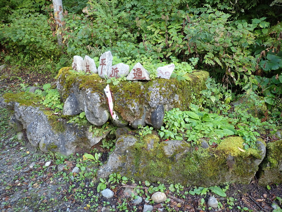 PA011376_mid.jpg