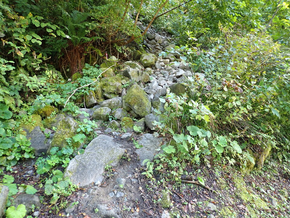 PA011377_mid.jpg