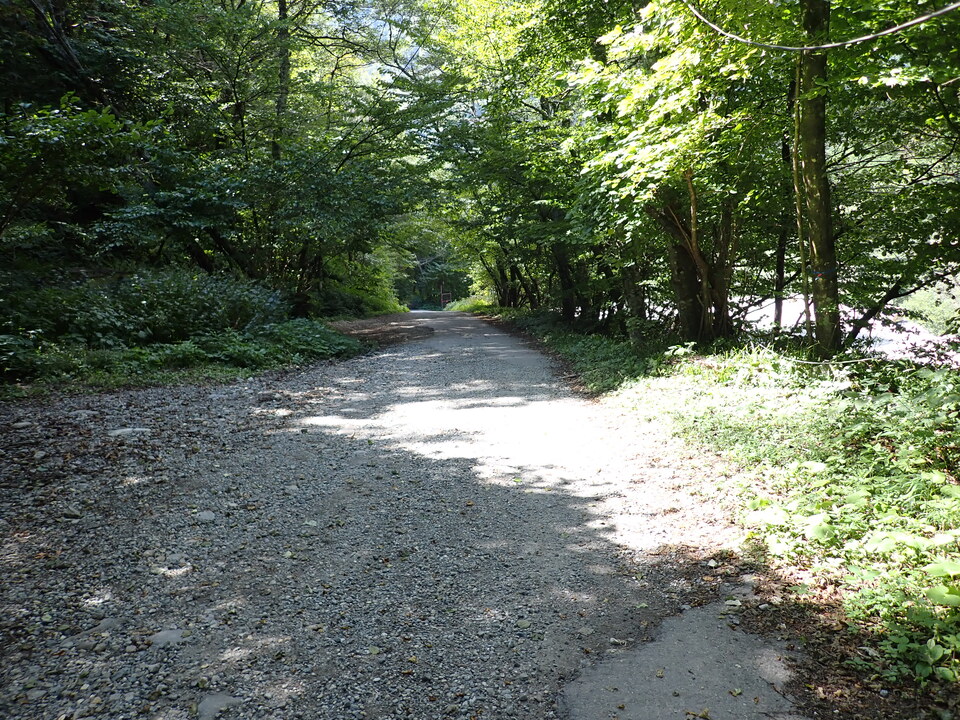 PA011385_mid.jpg