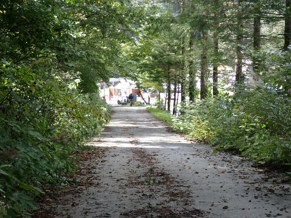 PA011388_mid.jpg