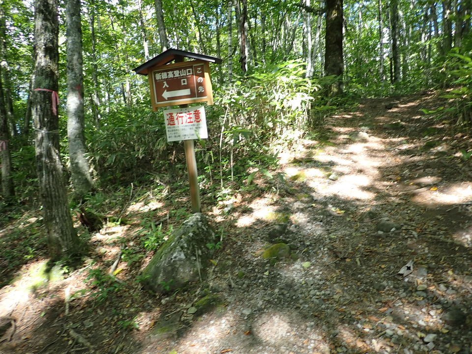 PA011398_mid.jpg