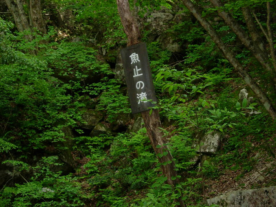 DSCN3369_mid.jpg