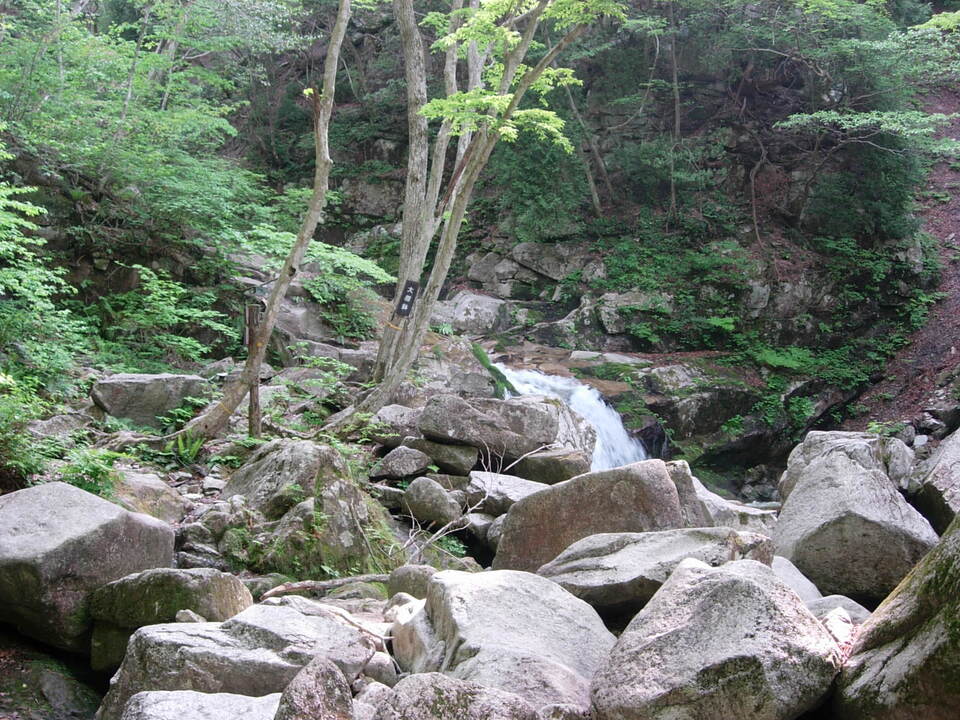 DSCN3374_mid.jpg