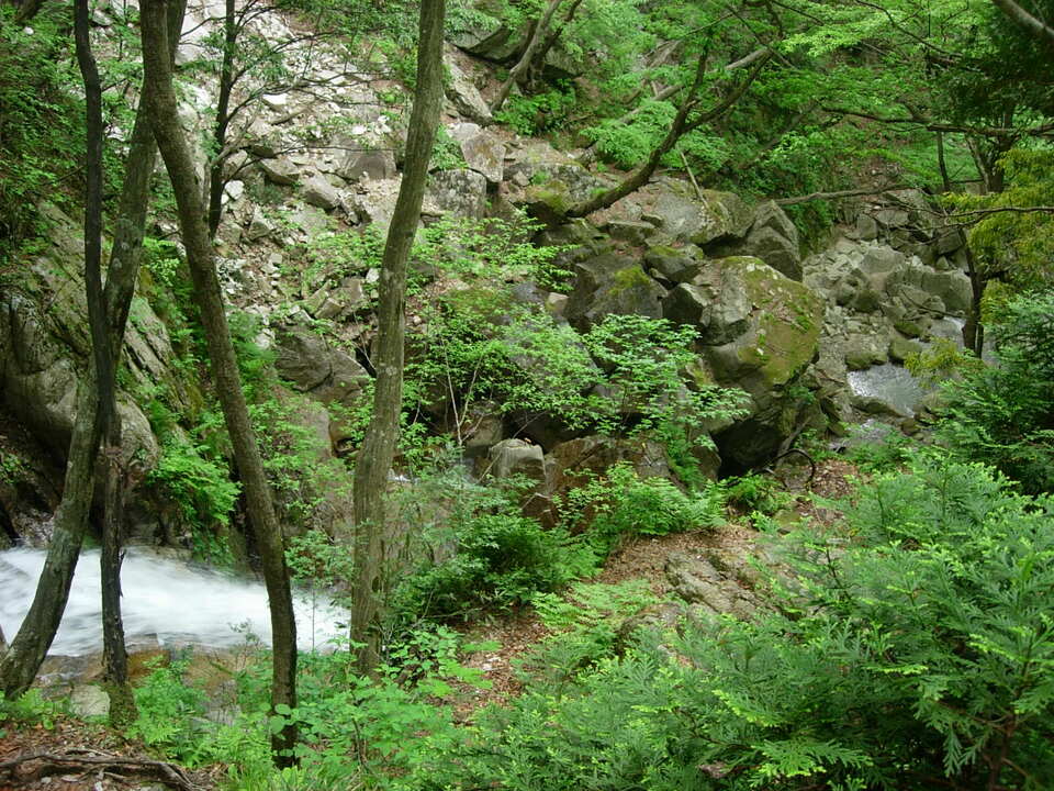 DSCN3393_mid.jpg