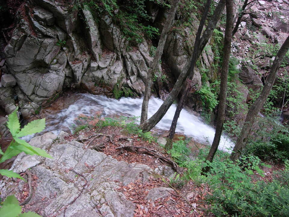 DSCN3394_mid.jpg