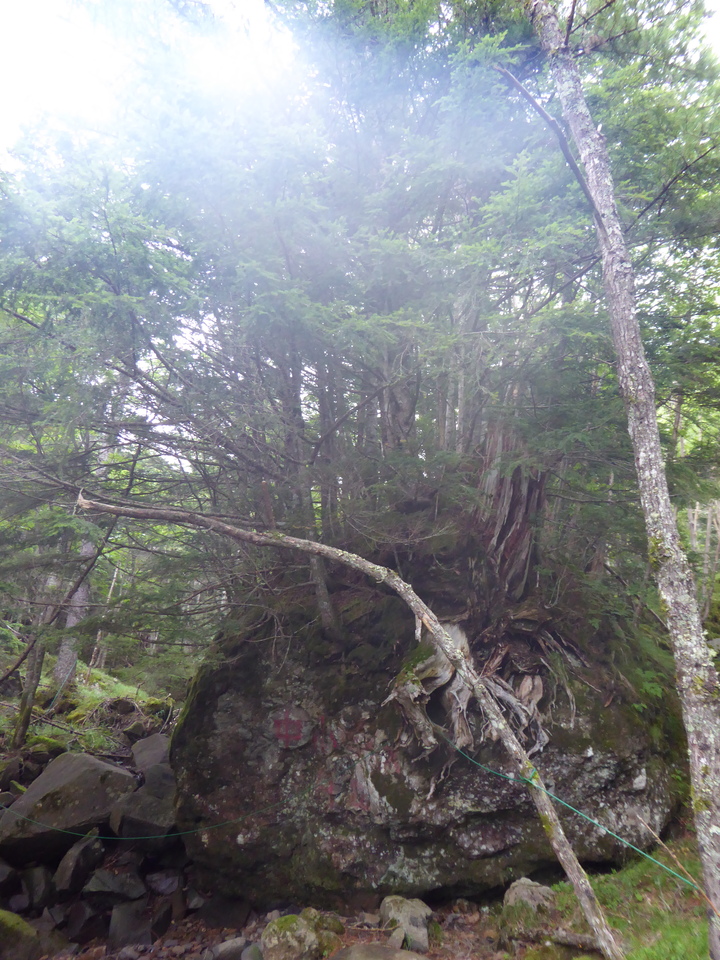 P1050338_mid.jpg