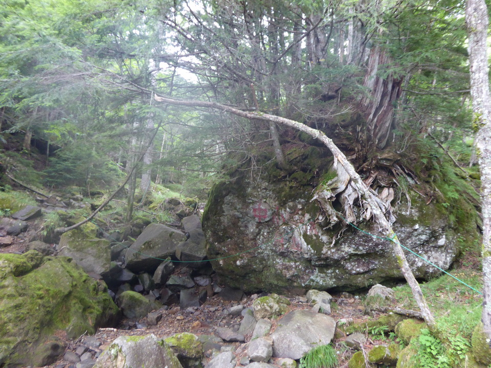 P1050339_mid.jpg